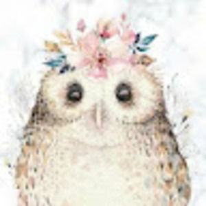 Meet your Posher, Cassandra